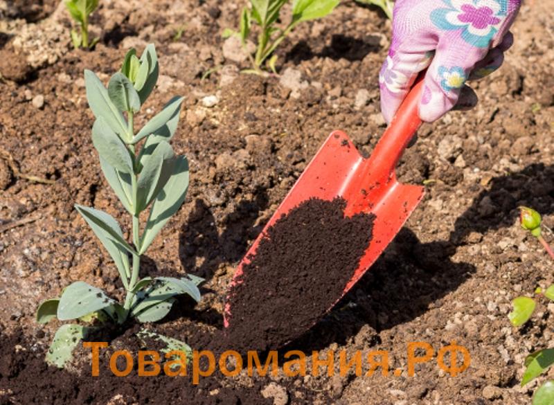 Выбирайте солнечные, защищённые от ветра места для посадки. В этом случае цветок раскроется в полном своём великолепии.