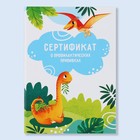 Сертификаты прививок