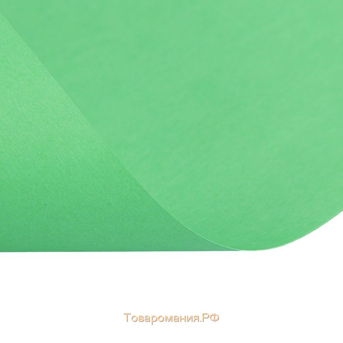 Бумага цветная А4, 100 листов Calligrata Интенсив, зелёная, 80 г/м²