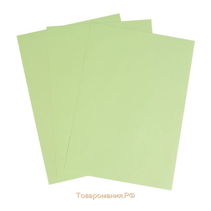 Бумага цветная А4, 100 листов Calligrata Пастель, зелёная, 80 г/м²