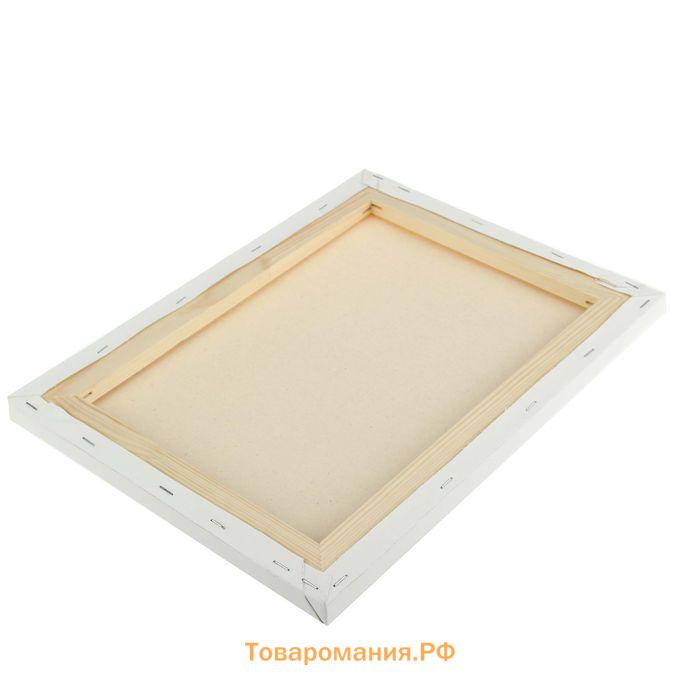 Холст на подрамнике хлопок 100%, 30 х 40 х 1,8 см, акриловый грунт, среднезернистый, 380 г/м²