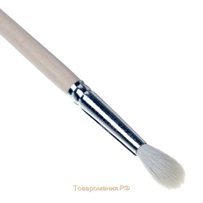 Кисть для рисования, Коза круглая №5 (диаметр обоймы 5 мм; длина волоса 20 мм), деревянная ручка, Calligrata