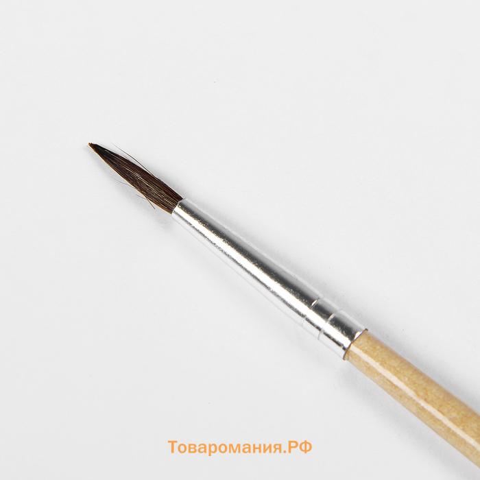 Набор кистей пони 3 штуки: № 1, 2, 3, круглые, с деревянными ручками, в блистере