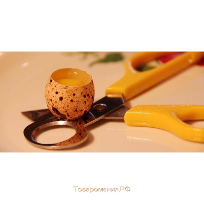 Ножницы для перепелиных яиц, 14 см, МИКС