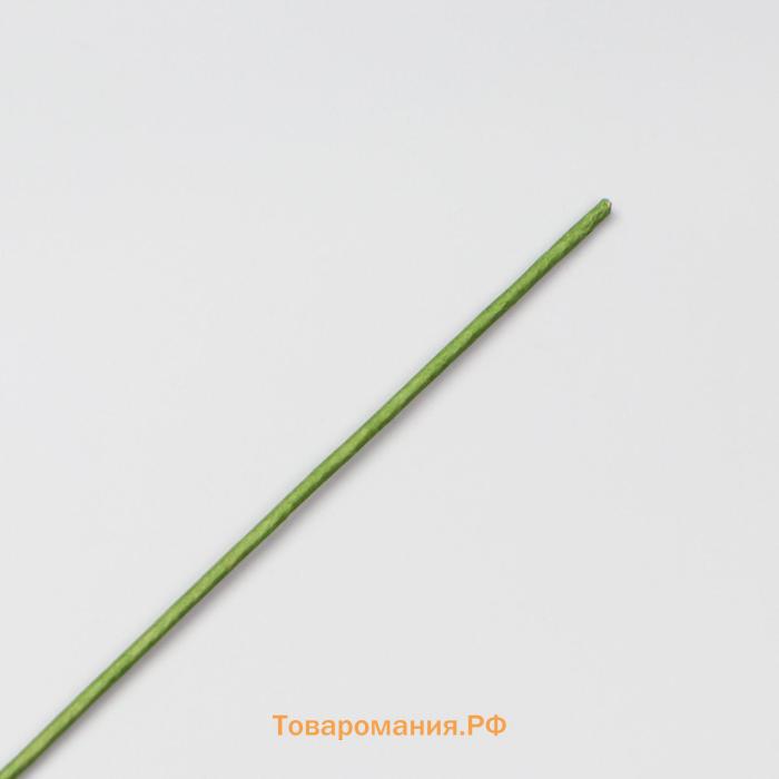 Проволока для изготовления искусственных цветов "Зелёная" 40 см сечение 2,5 мм
