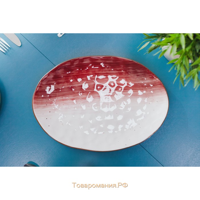 Блюдо фарфоровое «Космос», 31,5×22 см, цвет красный