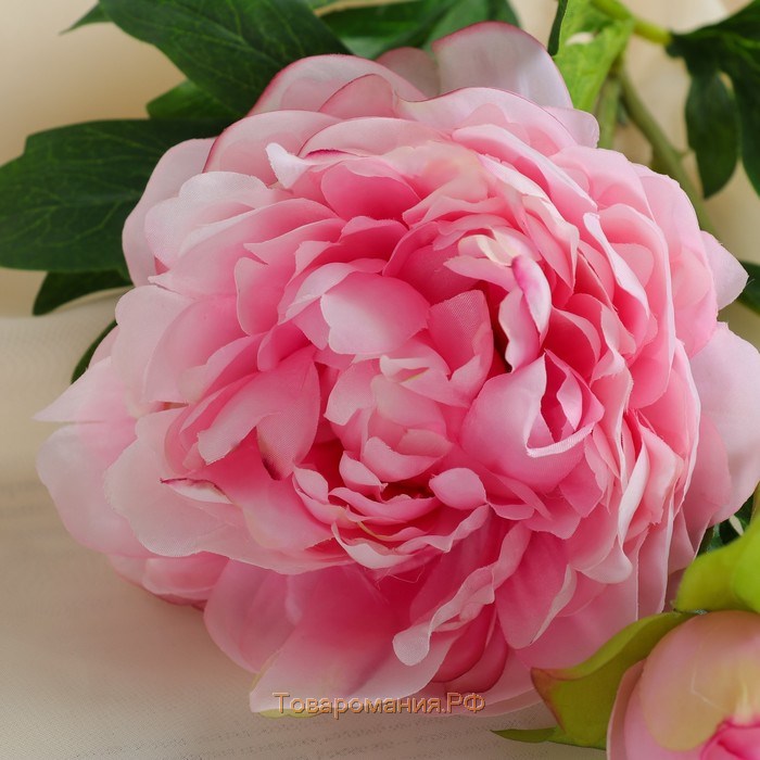 Цветы искусственные "Пион дуо" 12х60 см, розовый