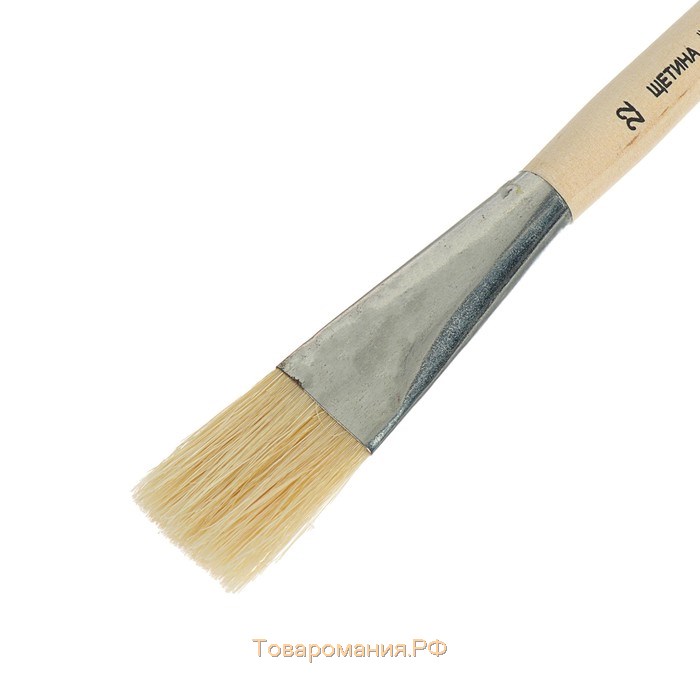 Кисть для рисования, Щетина плоская №22 (ширина обоймы 22 мм; длина волоса 30 мм), деревянная ручка, Calligrata