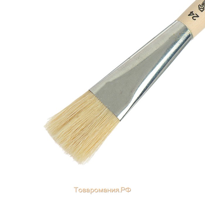 Кисть для рисования, Щетина плоская №24 (ширина обоймы 24 мм; длина волоса 35 мм), деревянная ручка, Calligrata