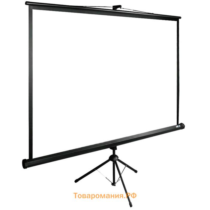 Экран Cactus 200x200см TriExpert CS-PSTE-200x200-BK 1:1 напольный рулонный черный