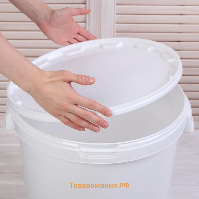 Бак пищевой «Для солений», 32.9 л, пластиковый, с герметичной крышкой