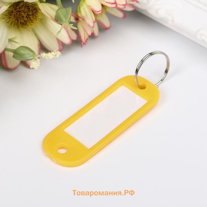 Бирка для ключей на кольце «Идентификатор овальный», пластик, МИКС
