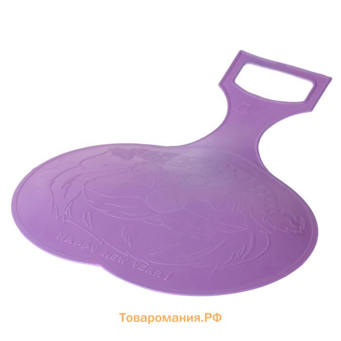 Санки ледянка