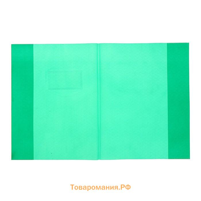 Обложка для тетрадей и дневников, 225 х 350 мм, плотность 120 мкр, МИКС
