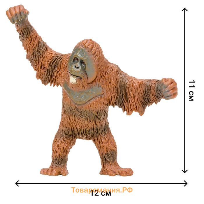 Набор фигурок «Мир диких животных: семья орангутангов», 4 предмета