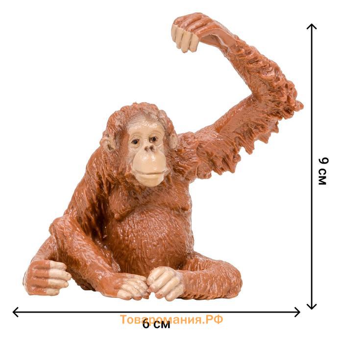 Набор фигурок «Мир диких животных: семья орангутангов», 4 предмета