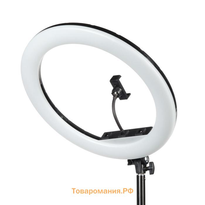 Осветитель кольцевой Falcon Eyes BeautyLight, 480RC LED