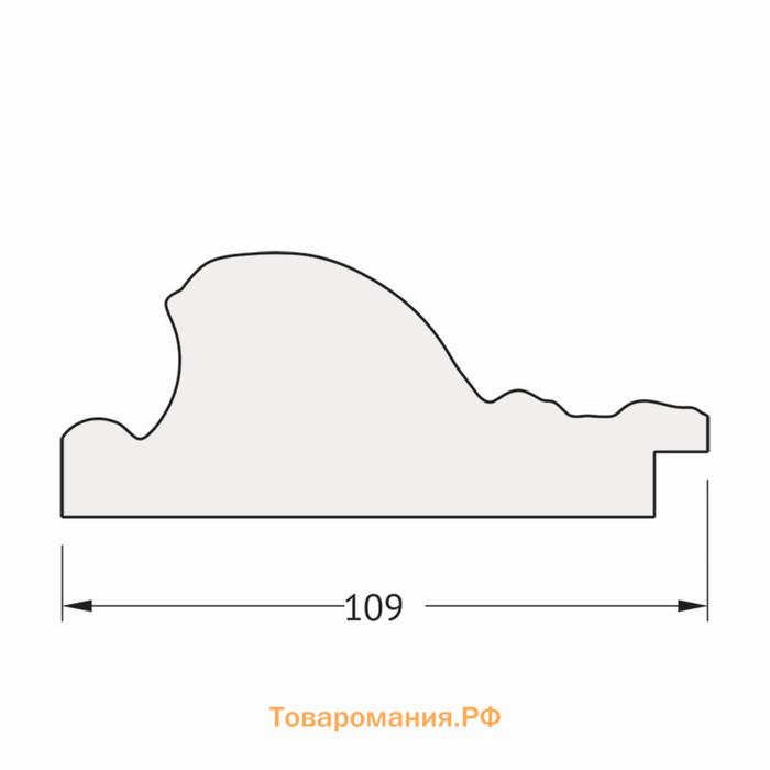 Зеркало напольное с фацетом в багетной раме, виньетка античная бронза 109 мм, 85x205 см