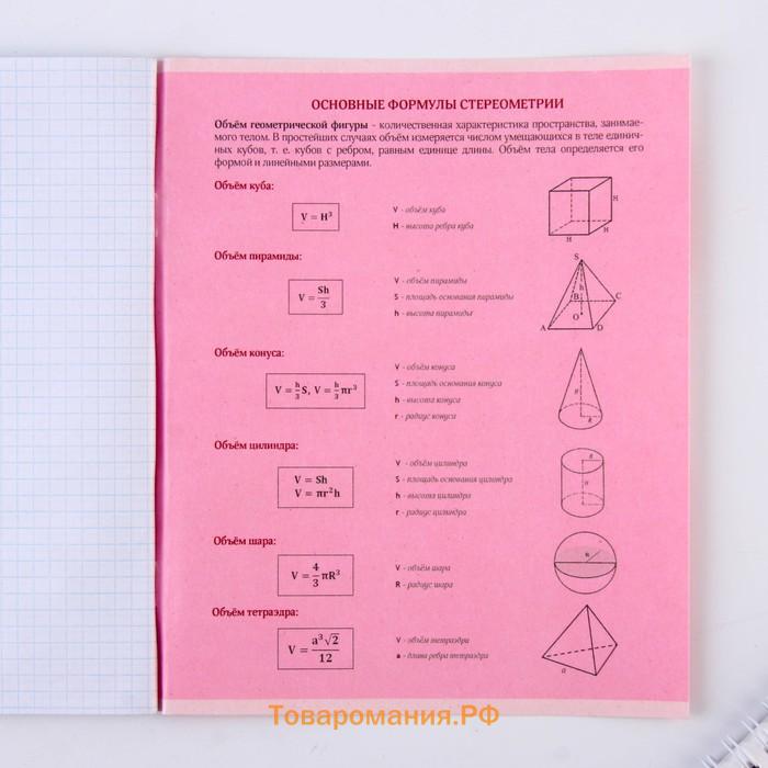 Тетрадь предметная 48 листов, А5, РОЗОВАЯ СЕРИЯ, со справ. мат. «Геометрия», обложка мелованный картон 230 г внутренний блок в клетку белизна 9...