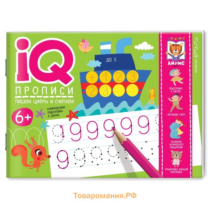 Посылка. Мини-комплект IQ-игр для освоения навыков счёта