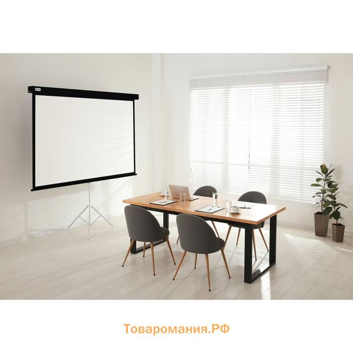 Экран Cactus 183x244см CS-PSW-183X244-BK, 4:3, настенно-потолочный, рулонный, черный