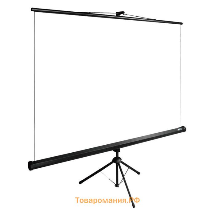 Экран Cactus 160x160см CS-PSTE-160x160-BK, 1:1, напольный, рулонный, черный