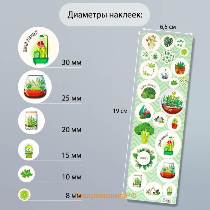 Наклейка для творчества пластик «Тропики», 6.5×19 см