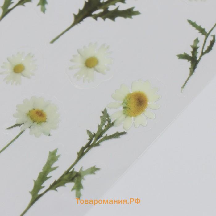 Наклейки для творчества пластик «Ромашки», 21×10.5 см