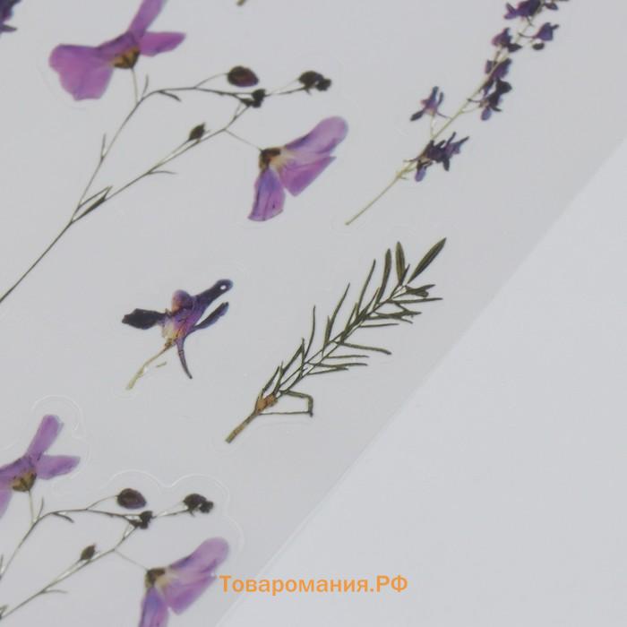 Наклейки для творчества пластик «Ирис», 21×10.5 см