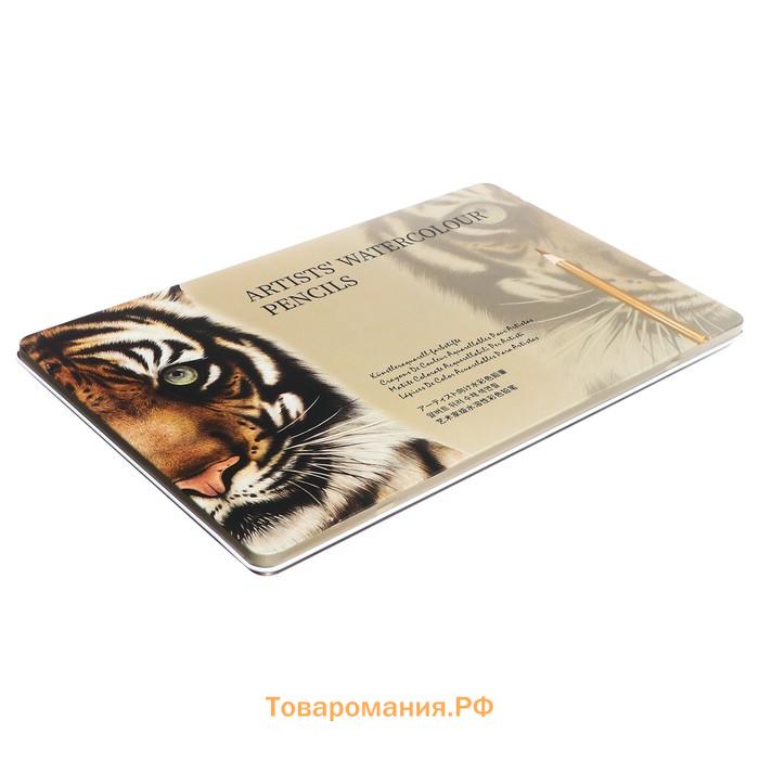 Карандаши акварельные, цельнографитные, 20 цветов+2 кисти+точилка, в металлической коробке WWP-20