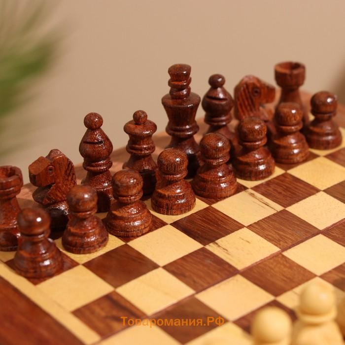 Игра настольная 2 в 1, шахматы, бэкгэммон, 15.5×15.5×5 см, дерево шишам