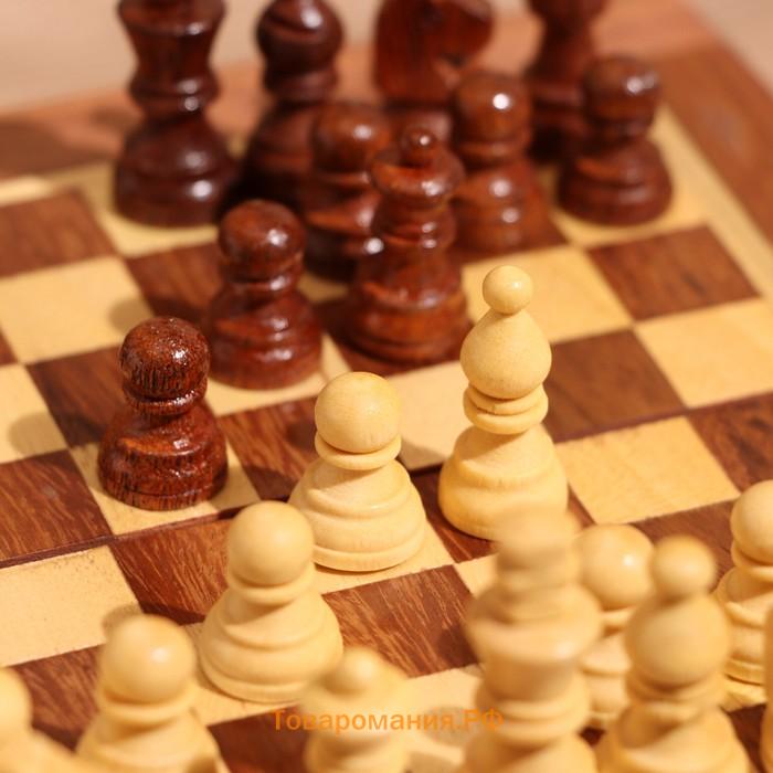 Игра настольная 2 в 1, шахматы, бэкгэммон, 15.5×15.5×5 см, дерево шишам