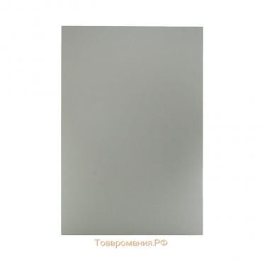 Картон цветной А4, 240 г/м2 "Нева" серебро, мелованный