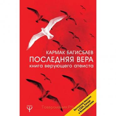 Последняя Вера. Книга верующего атеиста. Багисбаев К.