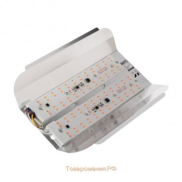 Фитопрожектор светодиодный СДО09-100, 100 Вт, IP65, 220В, мультиспектр., бескорпусный
