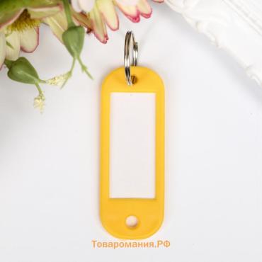 Бирка для ключей на кольце «Идентификатор овальный», пластик, МИКС