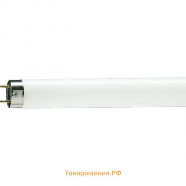 Лампа люминесцентная Philips TL-D 36W/33-640, G13, T8, 36 Вт, 4100 К, 2850 Лм