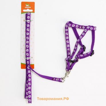 Комплект прошитый "Лапки", поводок 120 х 1 см, ОГ 23-35 см, фиолетовый