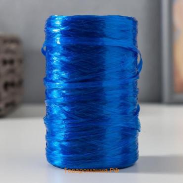 Пряжа "Для вязания мочалок" 100% полипропилен 400м/100±10 гр цилиндр (синий перлам)  МИКС