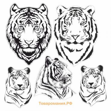 Набор автомобильных наклеек "Тигры черно-белые", 37,5 х 37,5 см