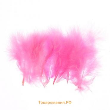 Набор перьев для декора 10 шт., размер 1 шт. — 10 × 2 см, цвет светло-розовый