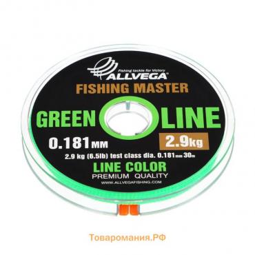 Леска монофильная ALLVEGA Fishing Master, диаметр 0.181 мм, тест 2.9 кг, 30 м, зеленая