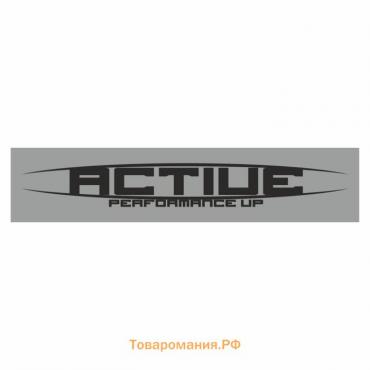 Полоса на лобовое стекло "ACTIUE", серебро, 1220 х 270 мм