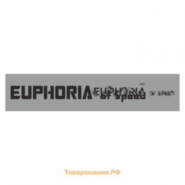 Полоса на лобовое стекло "EUPHORIA", серебро, 1220 х 270 мм