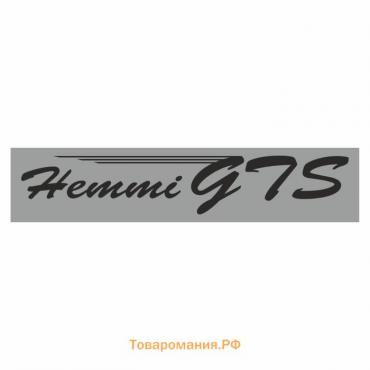Полоса на лобовое стекло "Hemmi GTS", серебро, 1220 х 270 мм