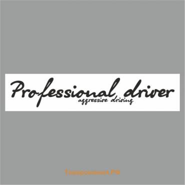 Полоса на лобовое стекло "Professional driverf", белая, 1600 х 170 мм