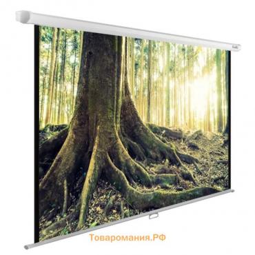 Экран Cactus 220x220см CS-PSWE-220x220-WT, 1:1, настенно-потолочный, рулонный