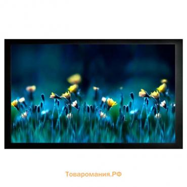 Экран Cactus 113x200см CS-PSFRE-200X113, 16:9, настенный, натяжной, на раме