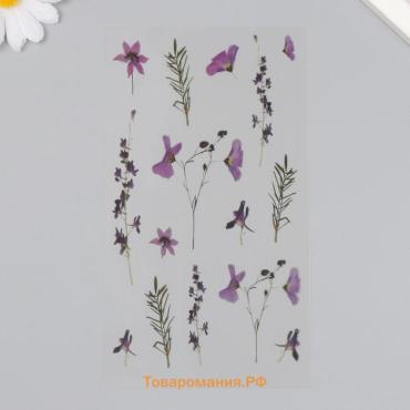 Наклейки для творчества пластик «Ирис», 21×10.5 см